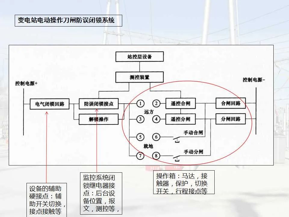 尊时凯龙·(中国区)人生就是搏