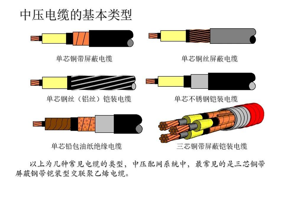 尊时凯龙·(中国区)人生就是搏